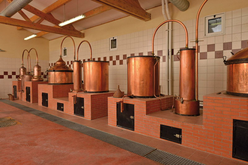 Vieille Distillerie Clovis Reymond