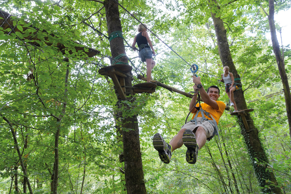 L'appel de la forêt