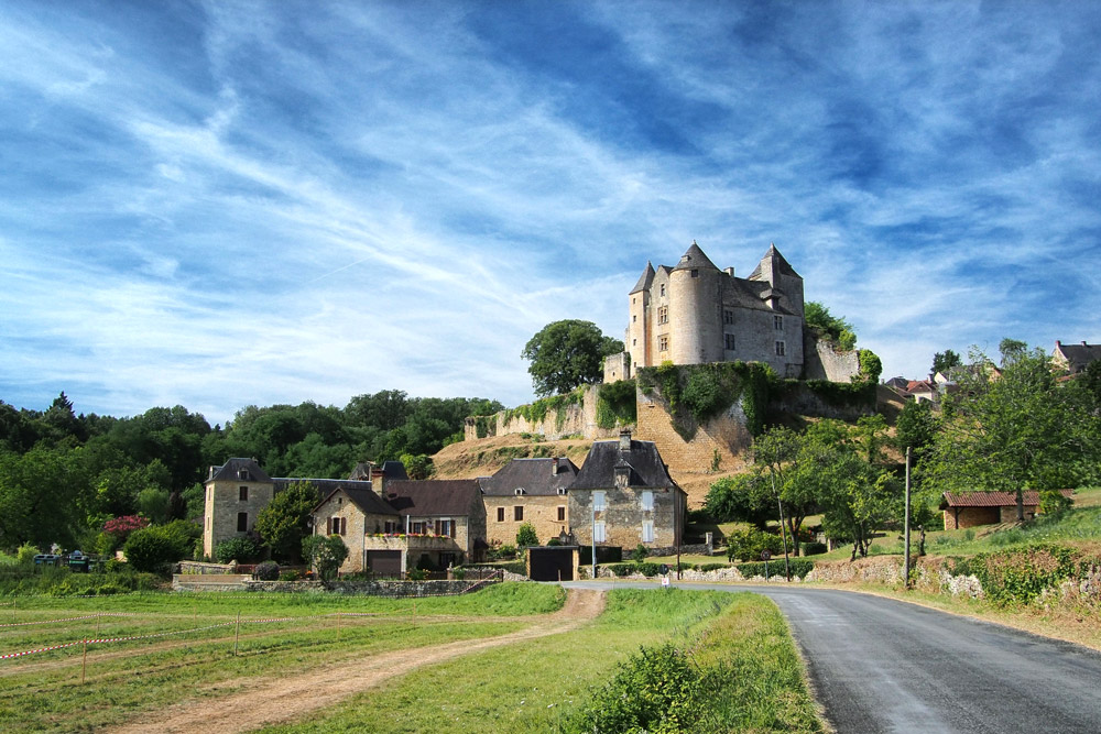 Château de Salignac