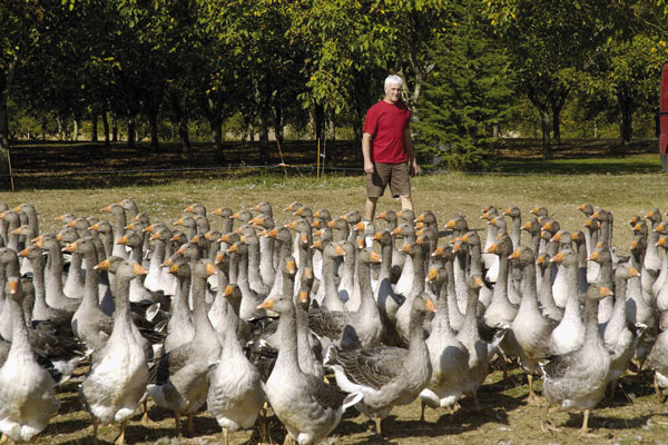 La Ferme Andrevias