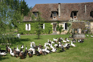 La ferme de Biorne