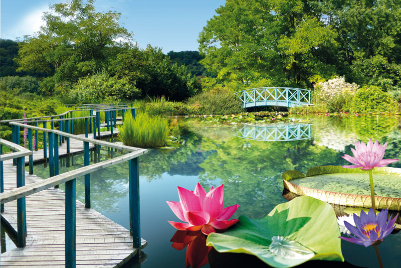 Les jardins d'eau