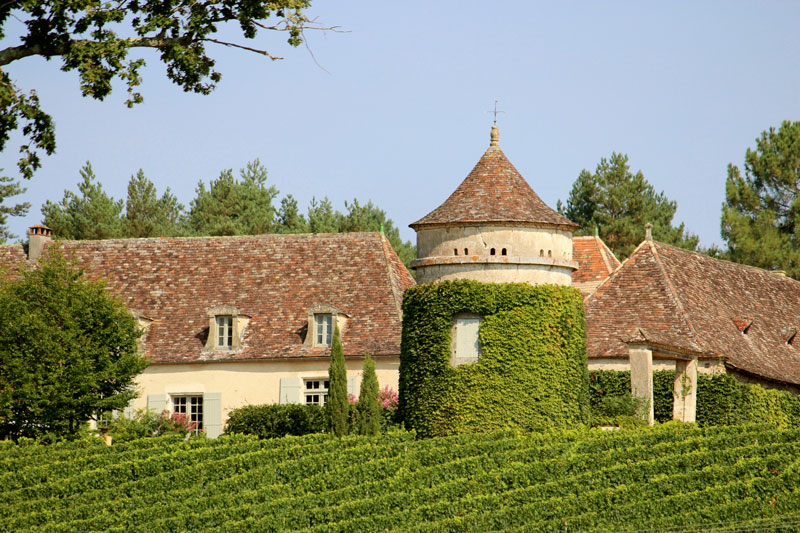 Château Terre Vieille