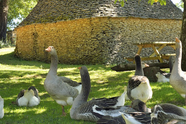 Patrimoine rural